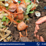 Agricultural Waste To Energy Market