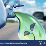 Biofuel Enzymes Market