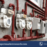 Gas Meter Market